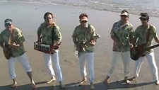 The Hodads 