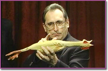 Tom Ogden - Comedy & Magic