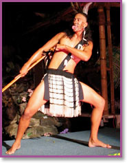Polynesian male Maori