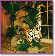 Safari Animal Decor 1