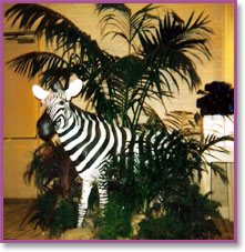 Safari Animal Decor 2