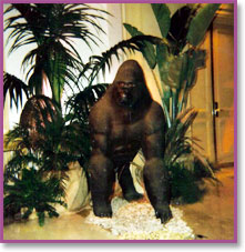 Safari Animal Decor 3