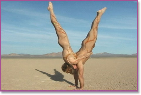 Cirque type Acts